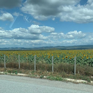 Meet your Posher, Tsveta